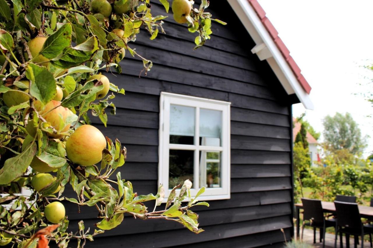 'T Schouws Uusje Villa Burgh-Haamstede Exterior foto