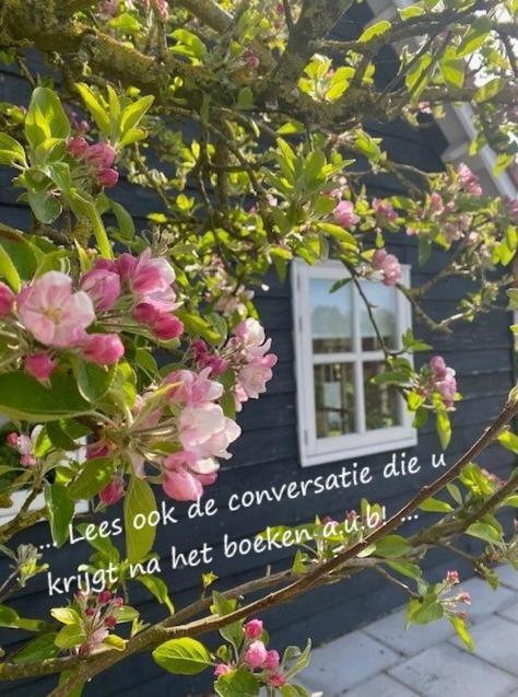 'T Schouws Uusje Villa Burgh-Haamstede Exterior foto